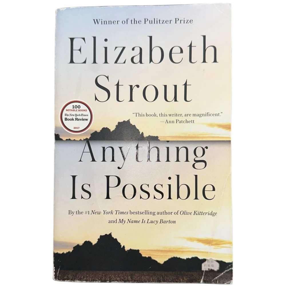 Anything is Possible by Elizabeth Strout Paperback Book Contemporary Fiction